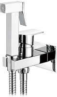 3290-4 Accoona Смеситель д/биде к стене + гигиеническая лейка (1/10)