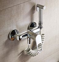 3117 Accoona Смеситель настенный с гигиеническим душем (1/10)