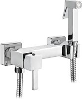 3290-9 Accoona Гигиенический душ со смесителем. Хром (1/10)