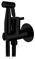 3290F-3 Accoona Смеситель с гигиеническим душем. Черный (1/10)