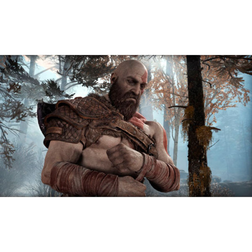 PS4 игра Sony God of War фото 8 PS4 игра Sony God of War фото 8